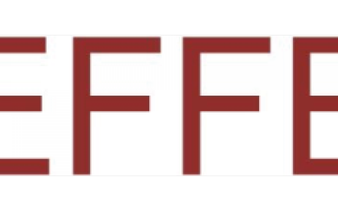 Effebi