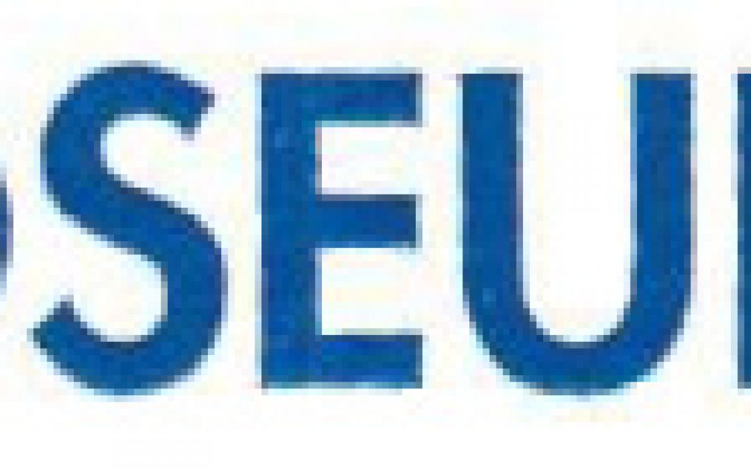 Coseur srl